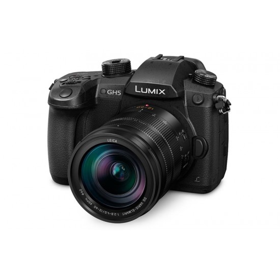 Panasonic GH5 II + 12-60mm F/2.8-4.0