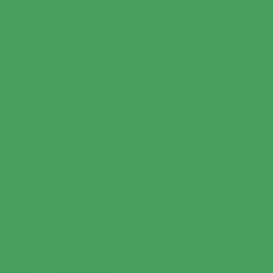 Colorama paper background 2.72 x 11 m - Chromagreen