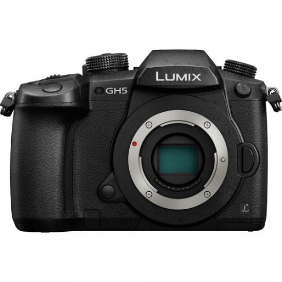 Panasonic Lumix GH5 (Body)