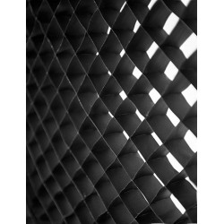 Grid for Quick assembly softbox 30х140CM