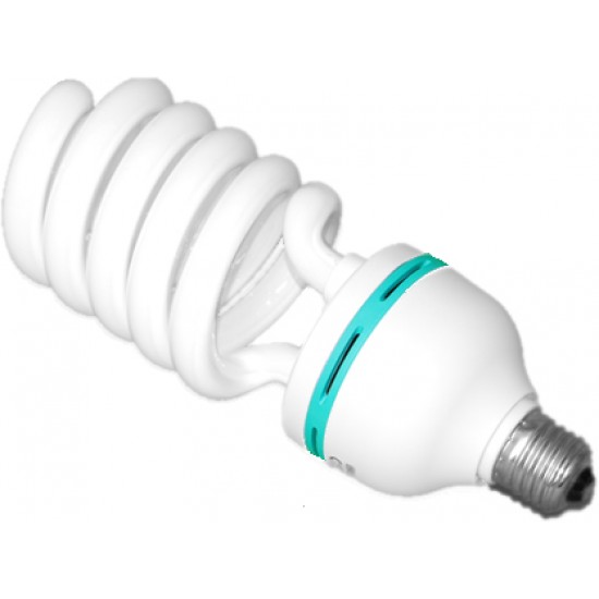 Energy Saving photo lamp 85W